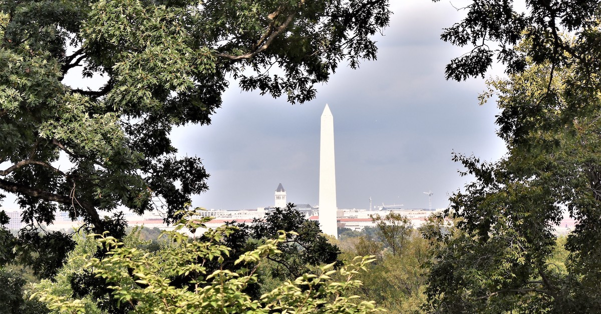 あなたの10代の孫とのワシントンDCでの7つのベストストップ
