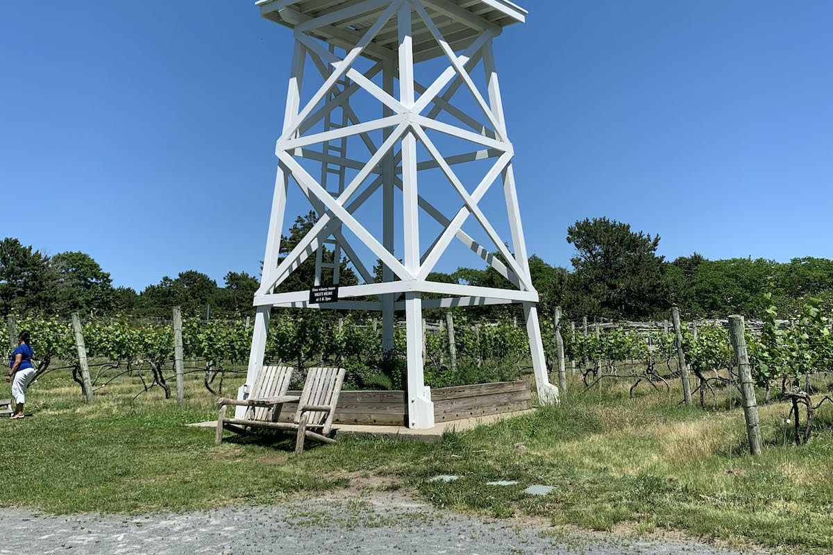 ケープコッドで探索する13の隠された宝石