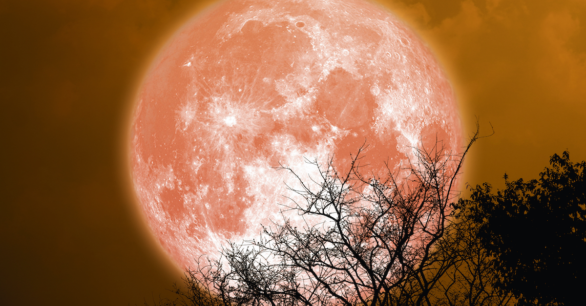 今週の満月は今年のこの種の最後です。なぜ