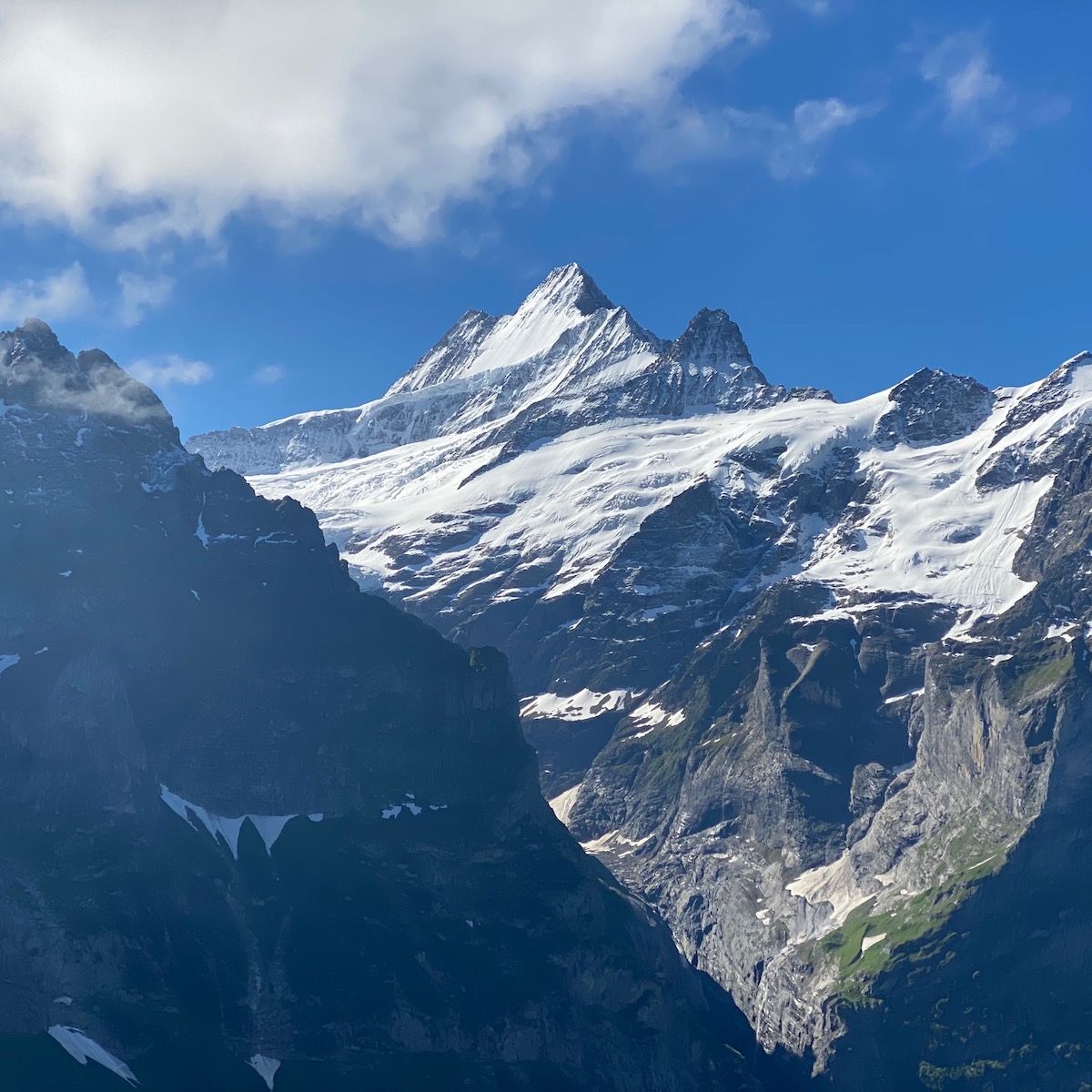 7 Things I Wish I Knew Before Visiting The Swiss Alps