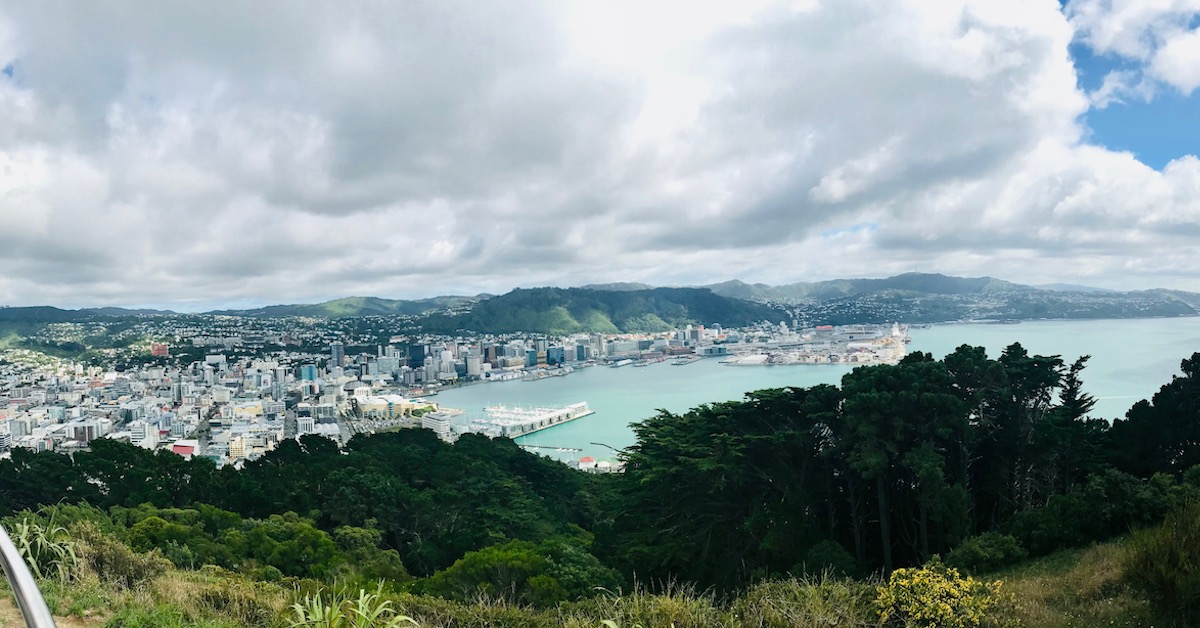 My 11 Favorite Experiences In Wellington On A Budget TravelAwaits