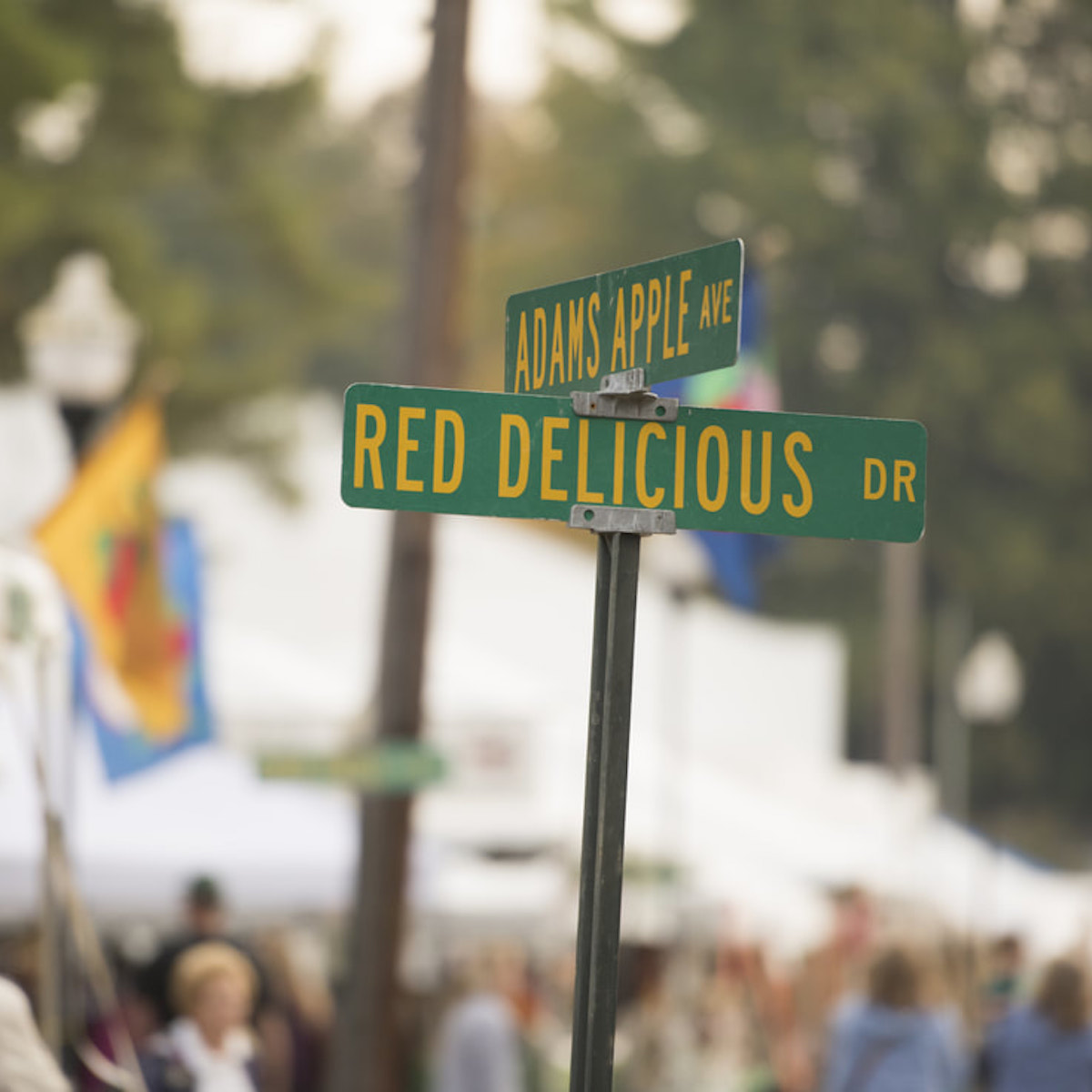 My 17 Favorite Experiences At Pennsylvania’s National Apple Harvest