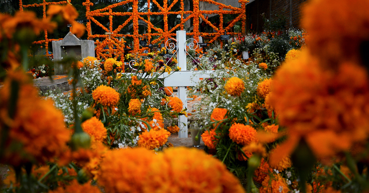Why Marigolds Are In Great Demand In Mexico This Month TravelAwaits
