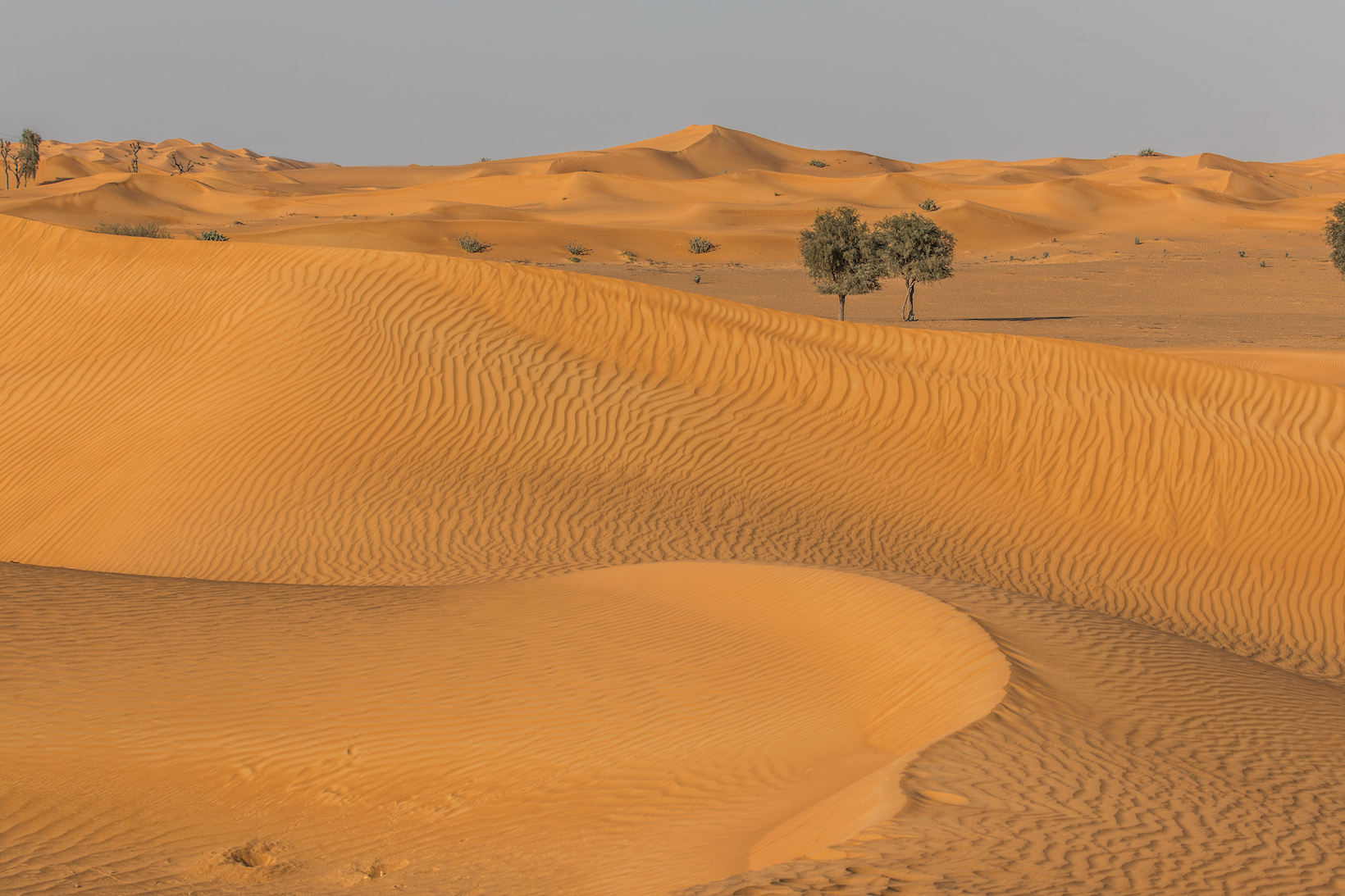 このペルシャ湾岸島では、古代のキリスト教修道院が発見されたばかりです