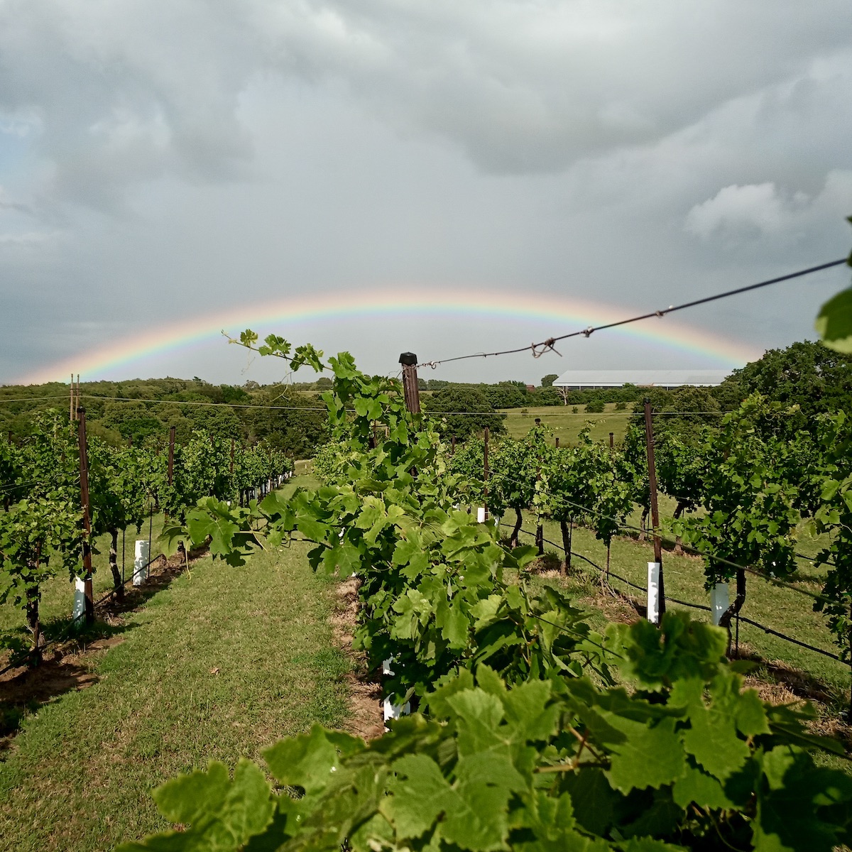 winery tours near dallas