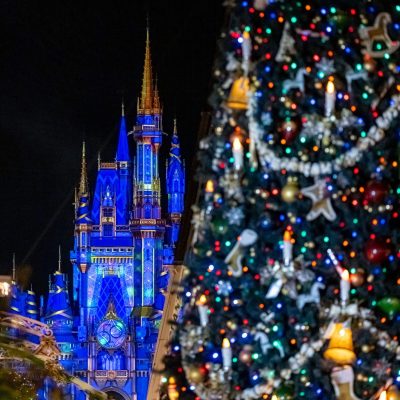 11 Must-See Christmas Decorations At Disney World This Season ...