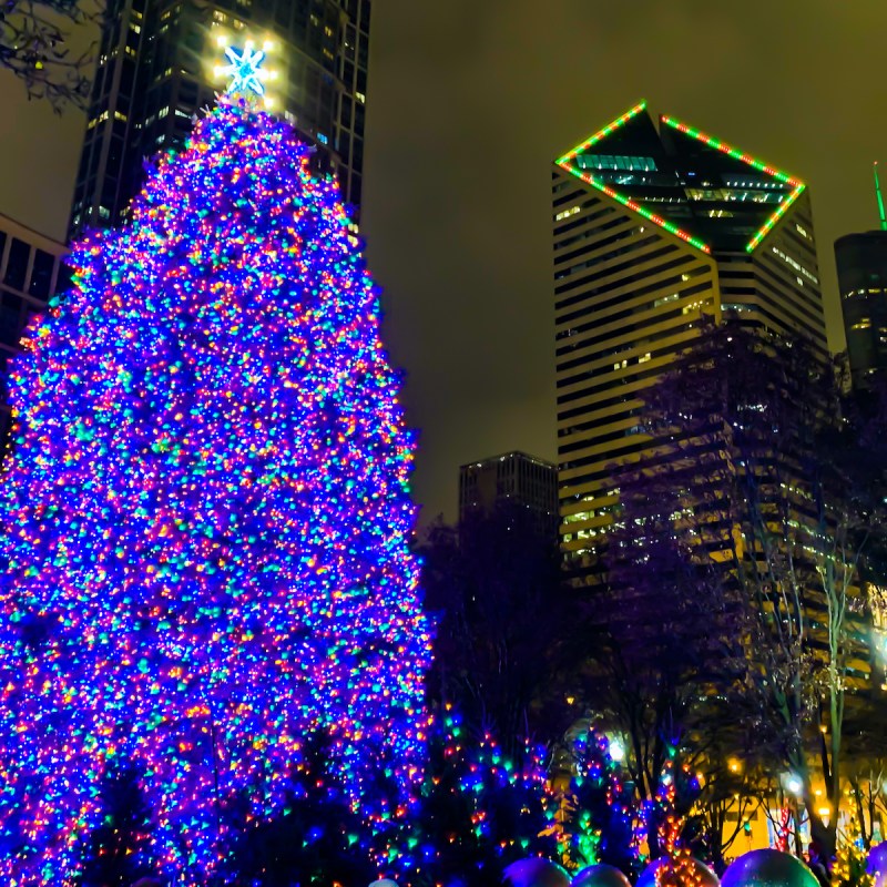 8 Best Places To See Holiday Lights In Chicago (2022) 