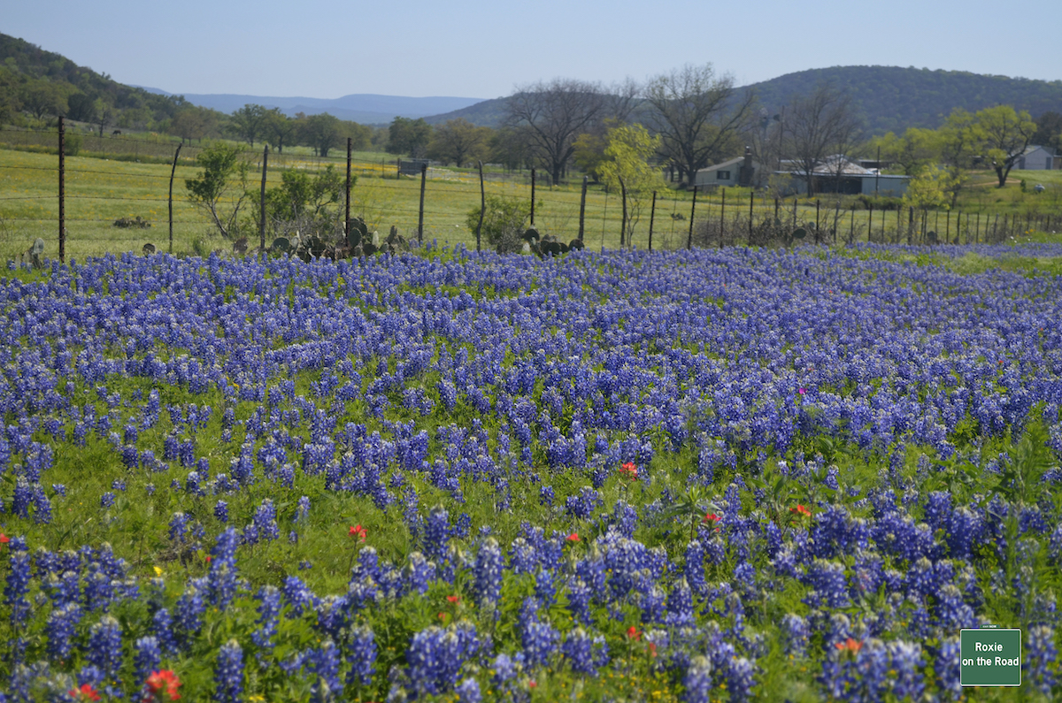 Best Places To Thoroughly Enjoy Your Spring Break In Texas - TravelAwaits