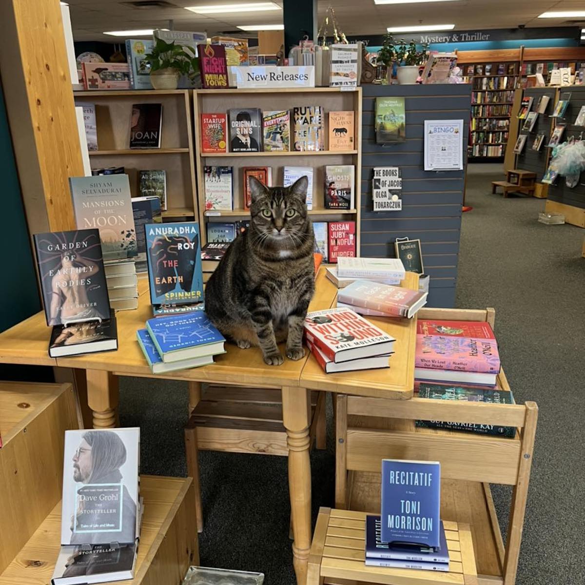 19 Best Bookstores To Visit In Canada TravelAwaits