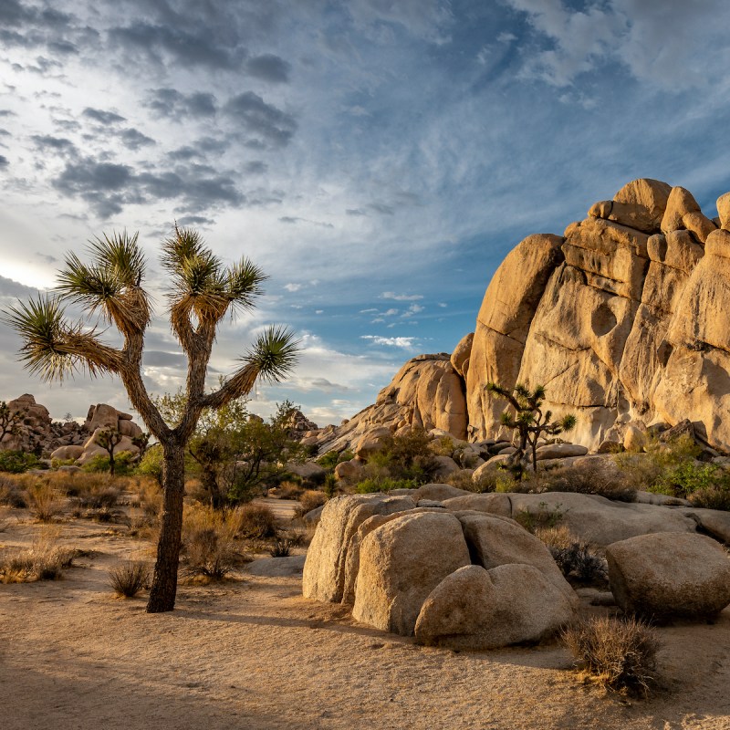 Chuckwalla Bench Could Be The Next U.S. National Monument — How You Can ...