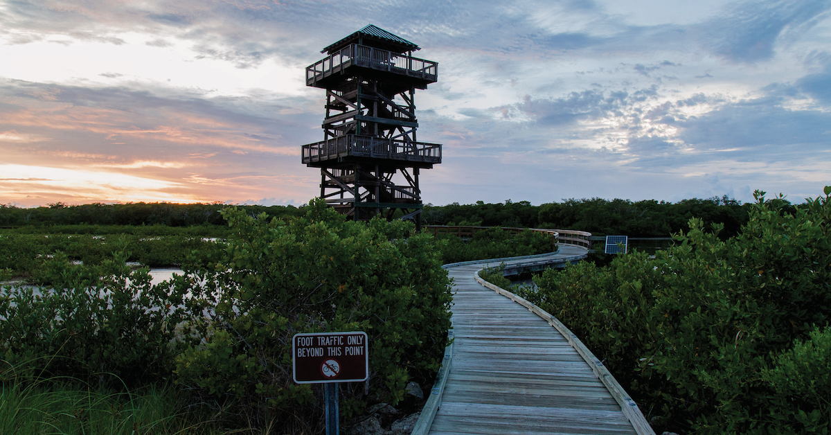 フロリダ州美しいブレーデントンで楽しむ15の経験