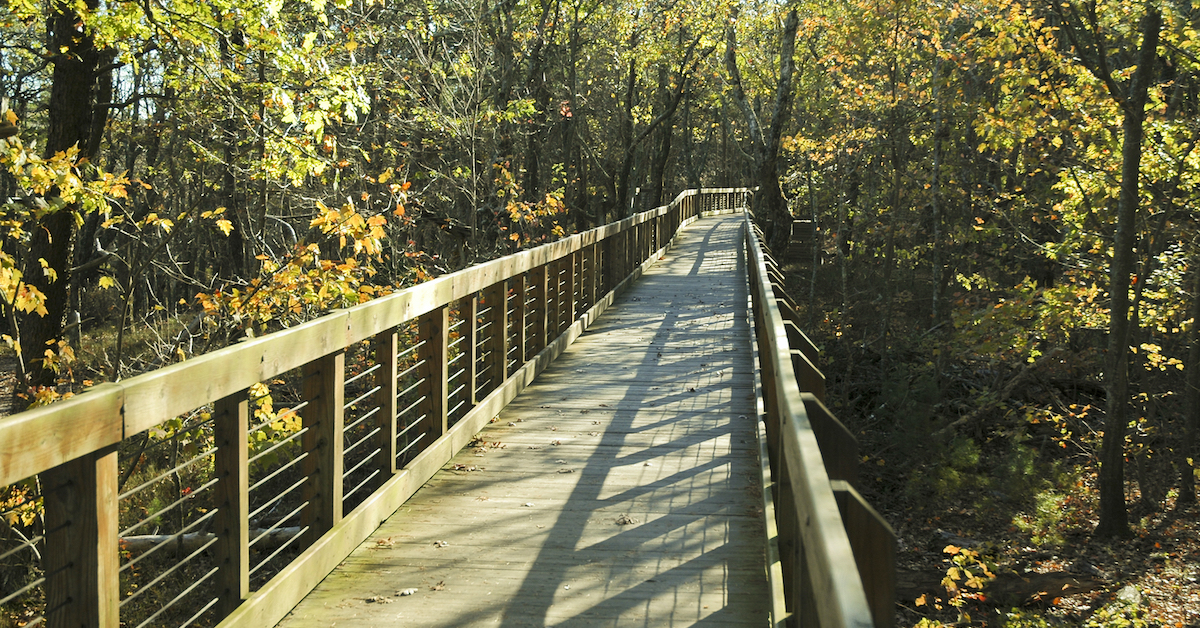 The Best Alabama Hiking Trails For Every Month Of The Year | TravelAwaits