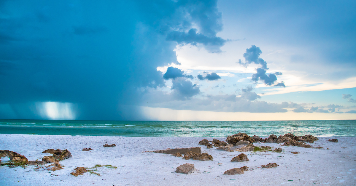 私は3年間祖父母でした:ここに私の孫娘が大好きな10の必見のサラソタがあります