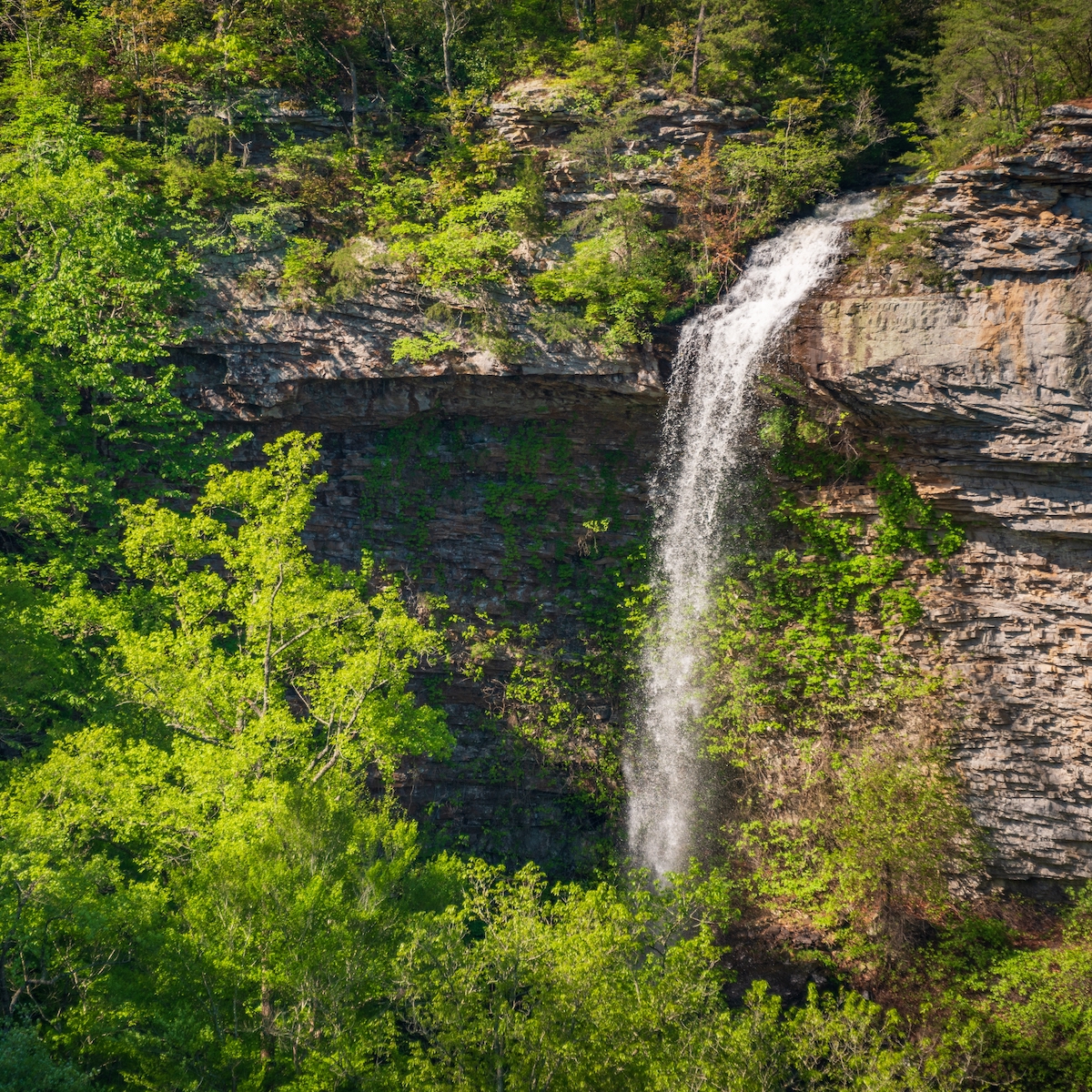 9 Stunning Alabama Waterfalls, Plus 2 Not To Miss Just Across The State ...