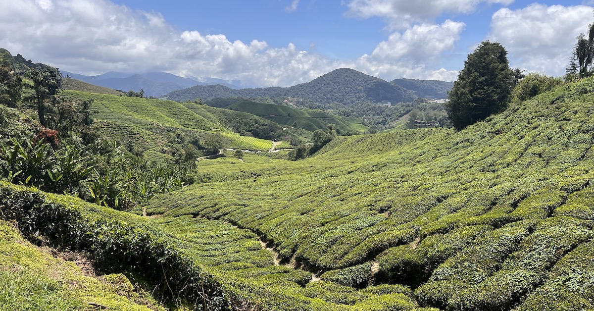 マレーシアに行く前に知っておくべき11のこと