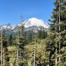 7 Fabulous Stops Along Chinook Scenic Byway, Gateway To Mount Rainier ...