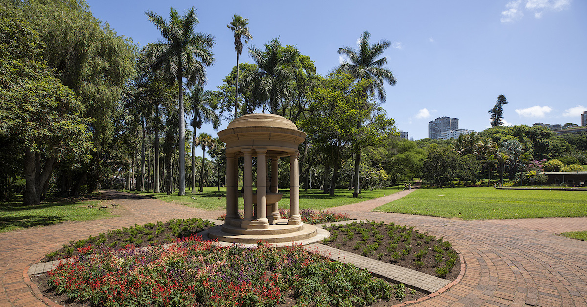 21 BEST THINGS TO DO IN DURBAN visual data 5