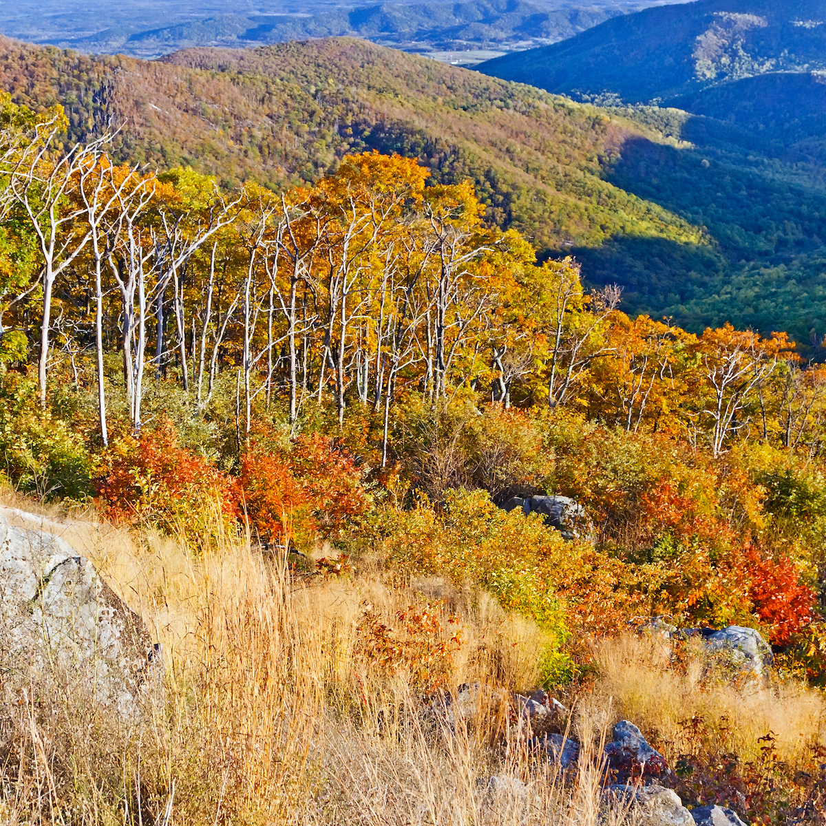 Farmers Almanac Lists Upstate NY Park As Best Spot To View Fall