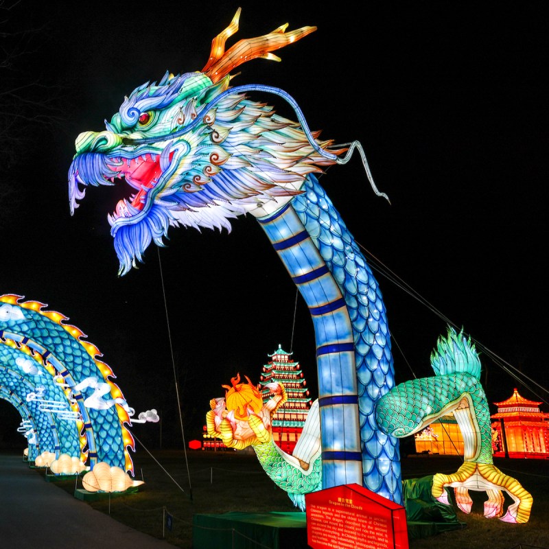 Chinese lantern "Zoolumination" at the Nashville Zoo