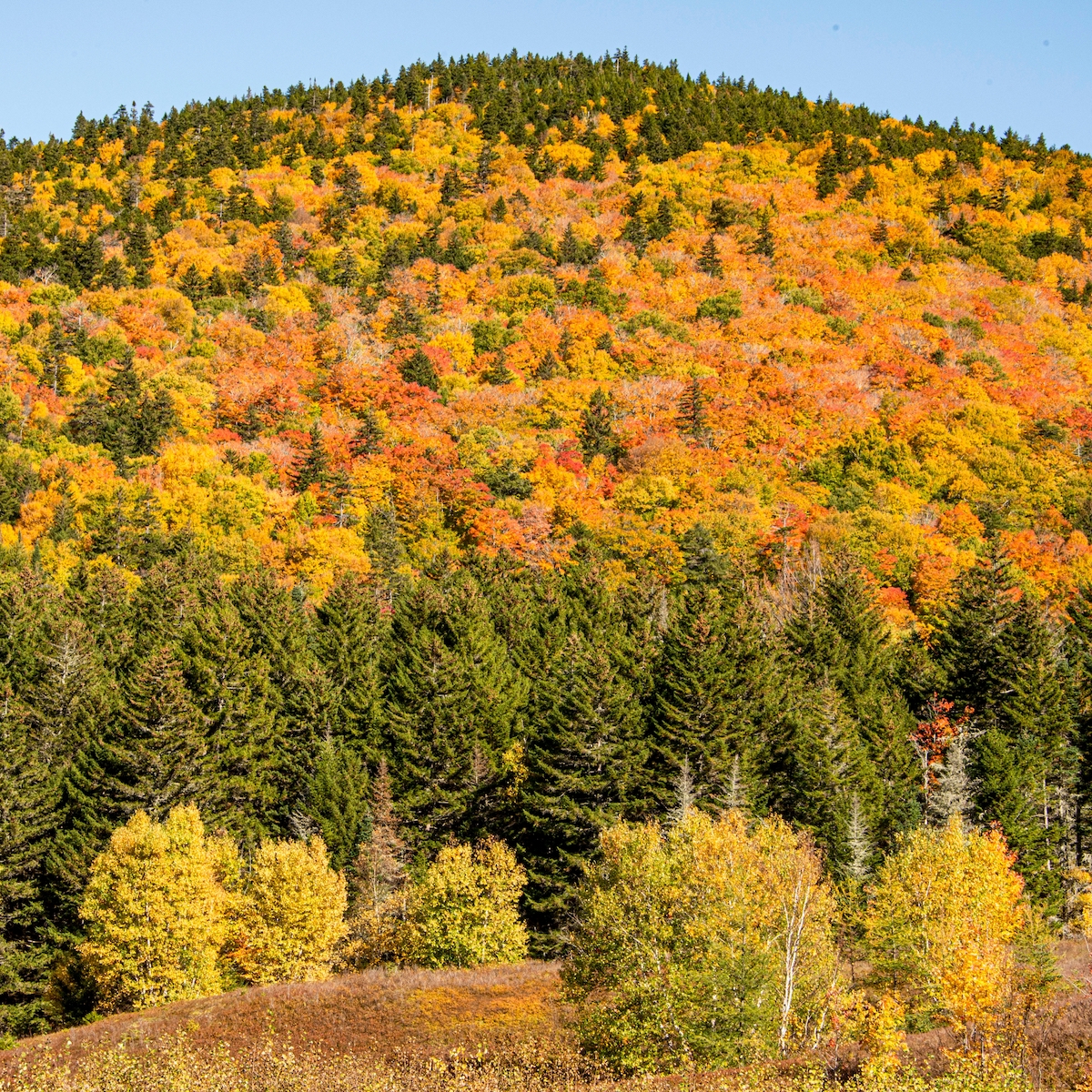 11 Best Fall Foliage Getaways In New England | TravelAwaits