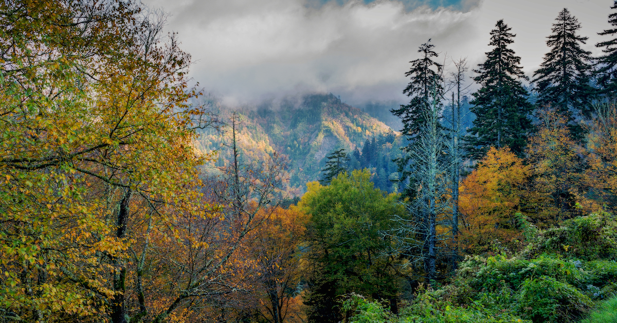 5 Favorite Experiences In Great Smoky Mountains National Park ...