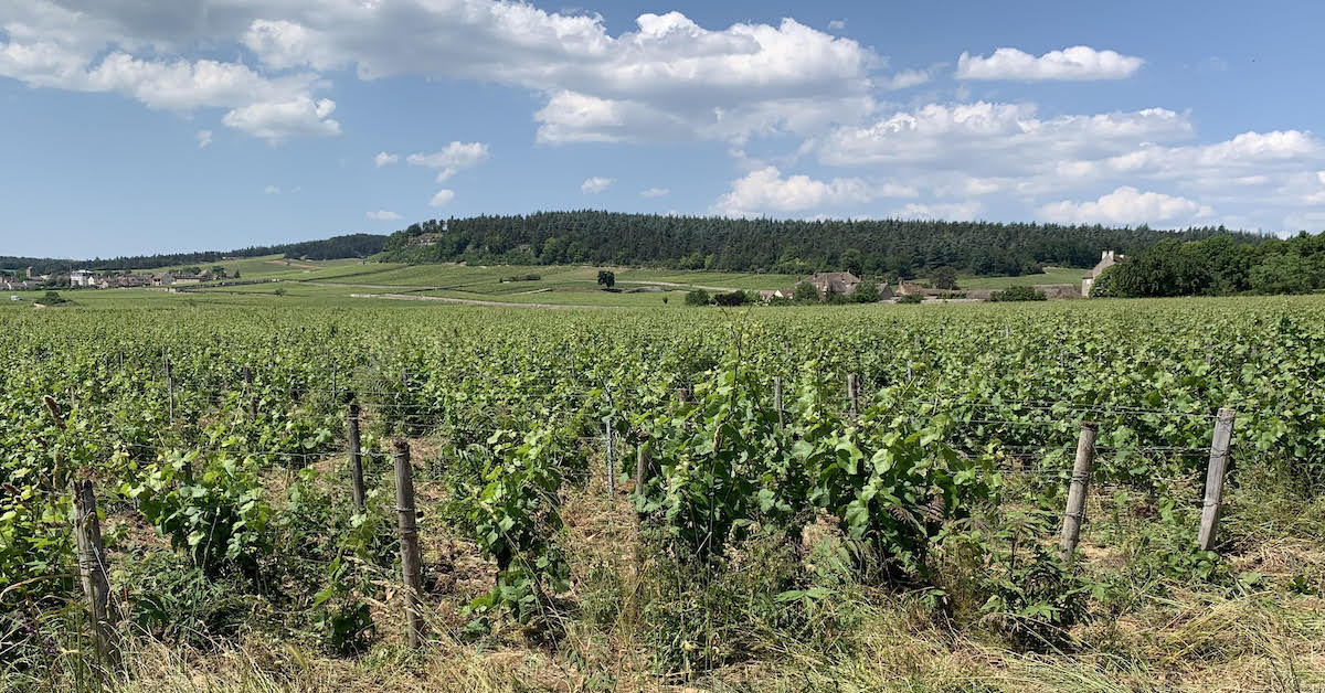 フランスの美しいバーガンディ地域に訪れるべき9つの興味深い場所