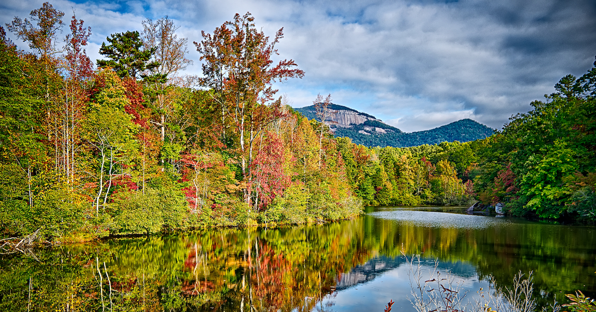 南のfall落の魅力：米国南部の目的地