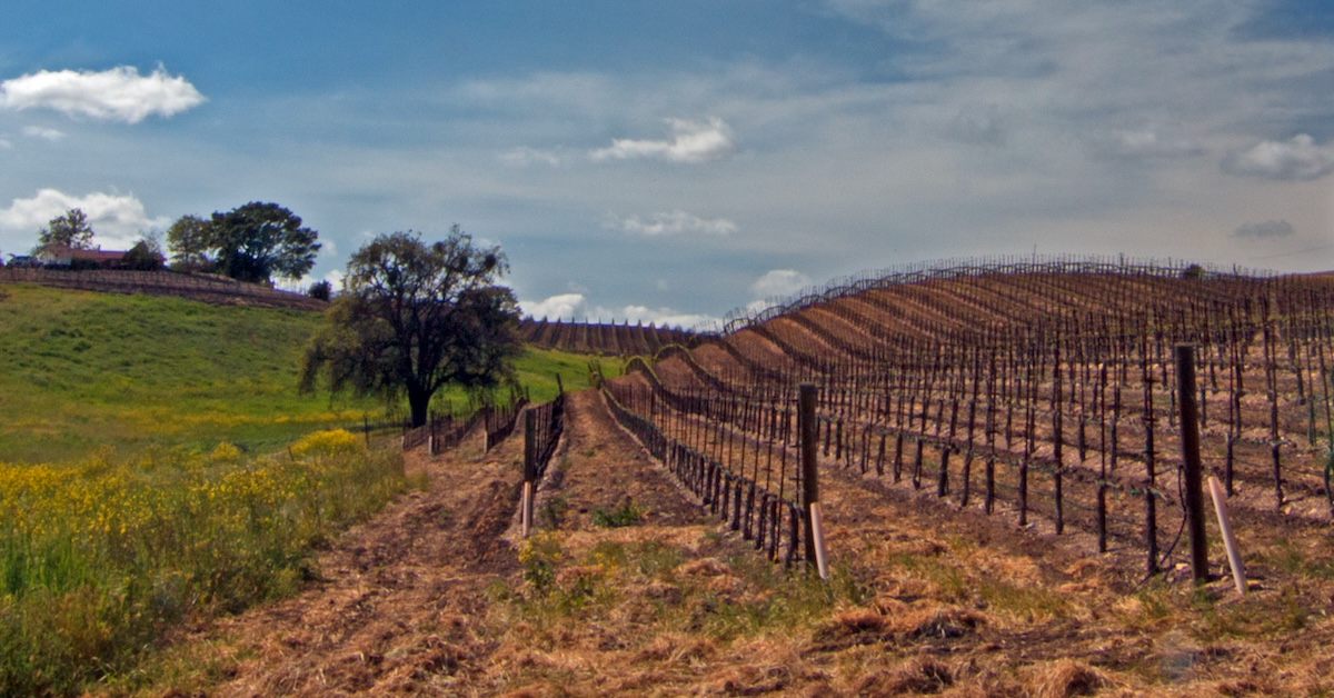 3秋と冬に訪れるための3つのラーダーの米国のワイナリー