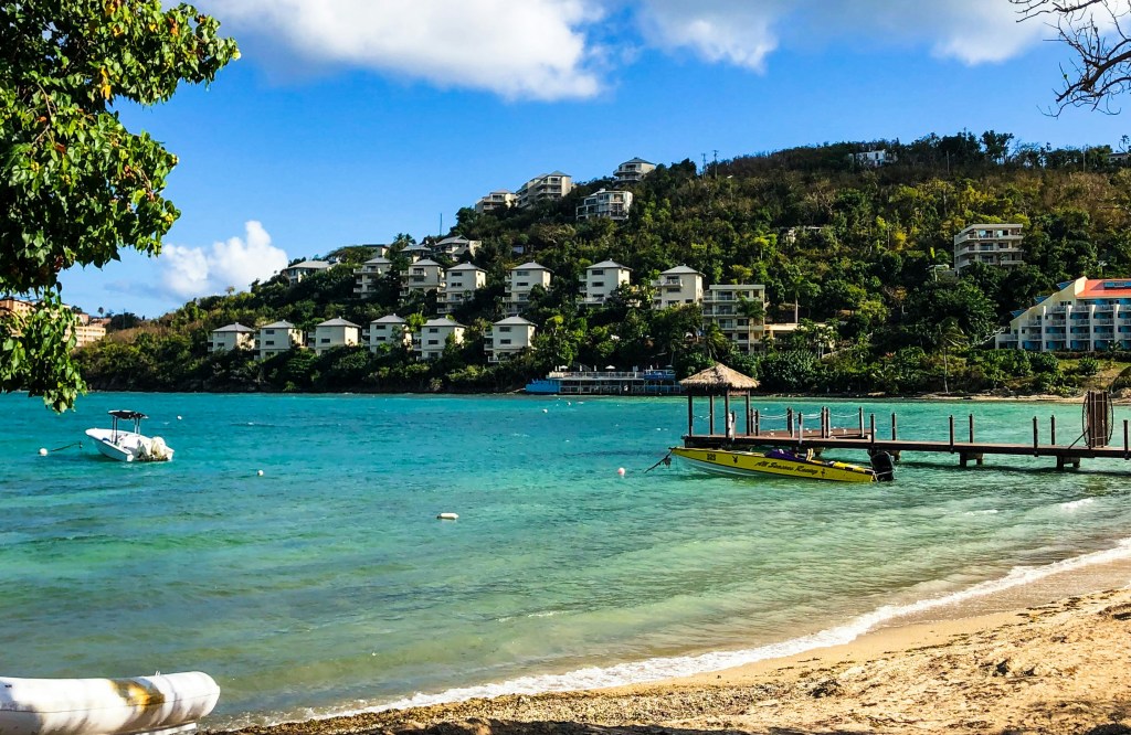 Brown wooden dock on beach during daytime in St. Thomas