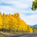 Here's how to visit Pando for US residents.