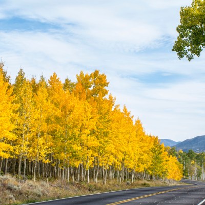 Here's how to visit Pando for US residents.