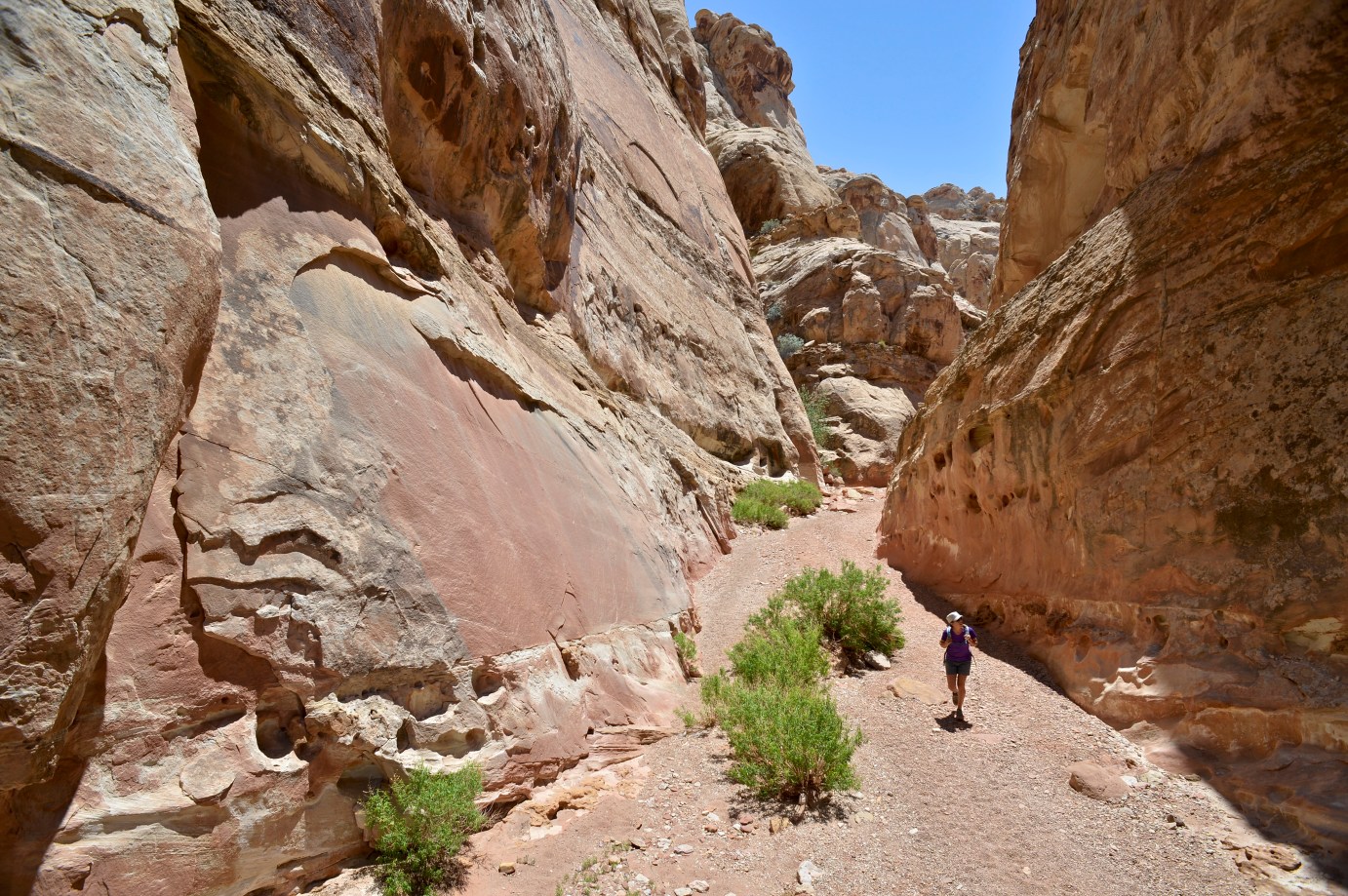 The 7 Coolest Canyons in Utah | TravelAwaits